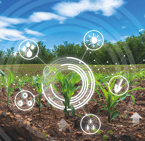 ICPDAS-EUROPE Smart Farming Solution